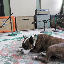 Amps and Roxy 3