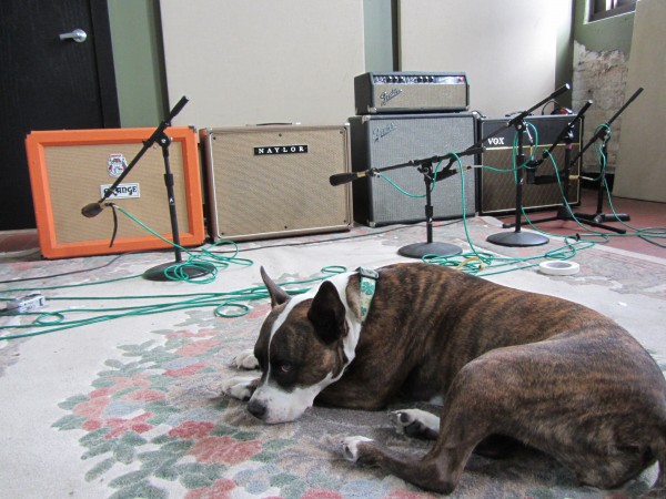 Amps and Roxy 3